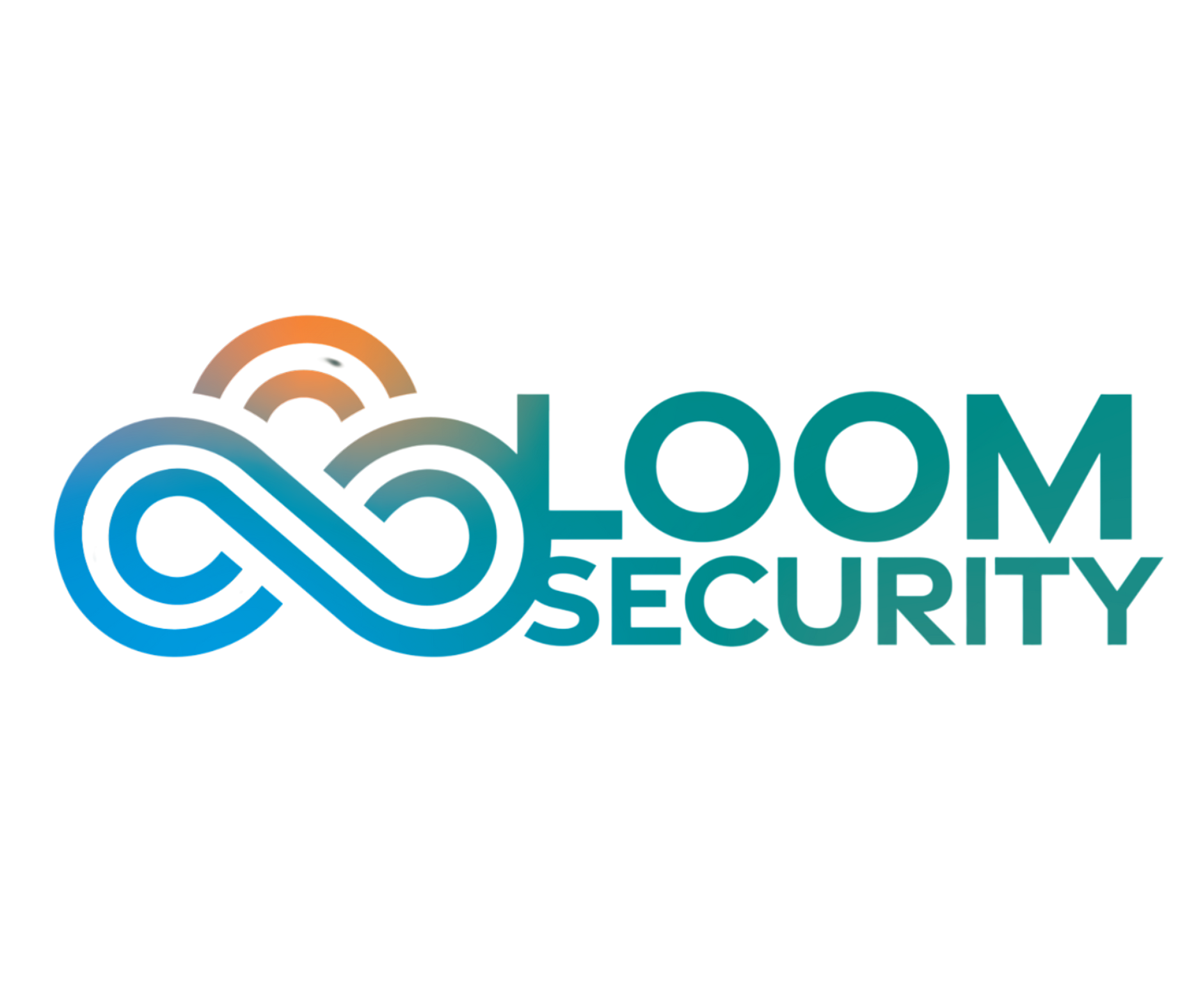 Loom Security Loom Security